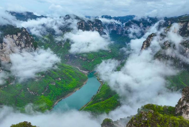探索中原魅力：中牟特色旅行社带你玩转郑州周边深度游